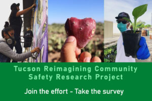 Community Safety Research Project
